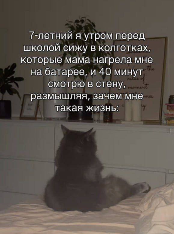 главное не забыть рюкзак в школу