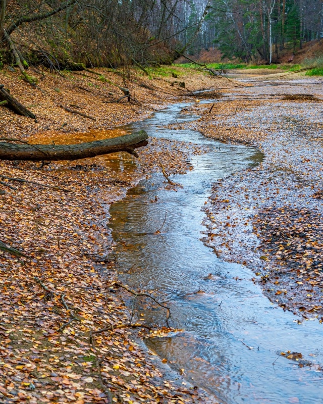 Красота осенней природы ❤ Рыбинский район, Селехово ?...