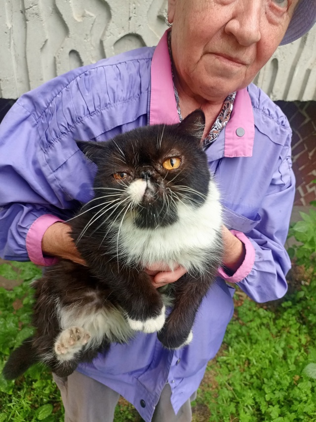 Может кто-то потерял такого красавчика или кому-то нуж?...