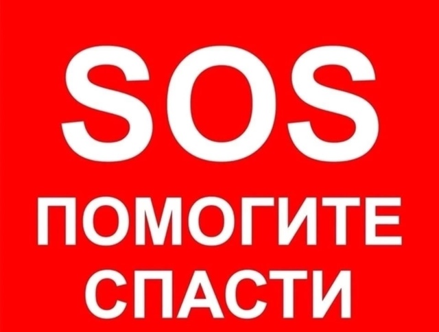 Санкт-Петербург
СОС!!!
Срочно нужны передержки/ дома дл?...