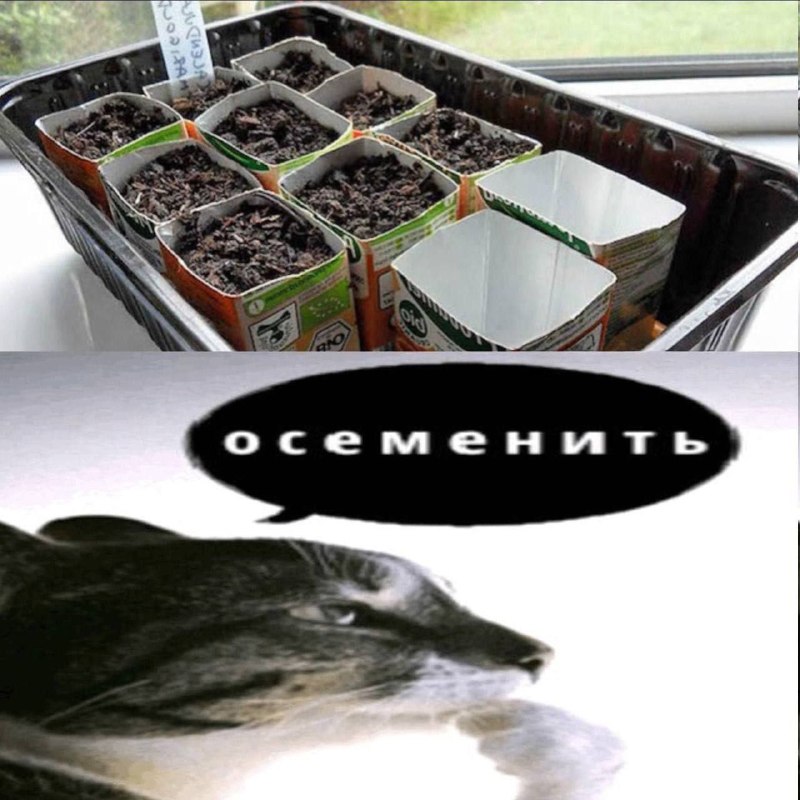 Утренняя подборочка