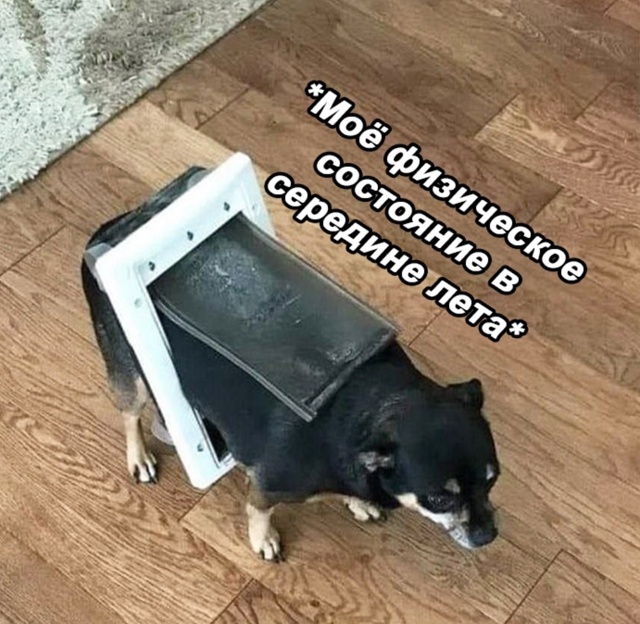 Все мы пытались
