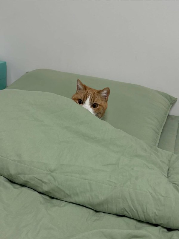 Ну идем уже споть, я же жду тибя в кроватке :3