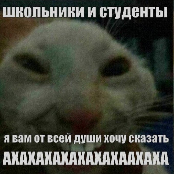 Ночная подборочка
Спать, режим