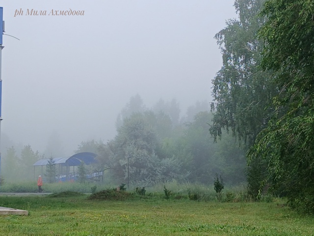 Утро туманное...🌫Всем хорошего дня и отличного настро?...