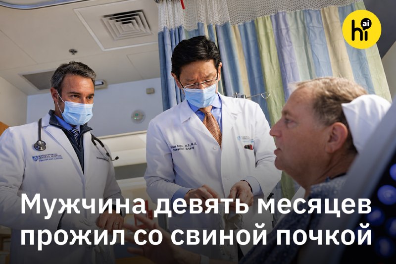 ⚡️ Мужчина девять месяцев прожил со свиной почкой
Американец Тим Эндрюс стал первым в мире человек