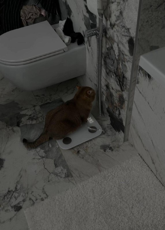 Чьто же вы натворили чоколадки………