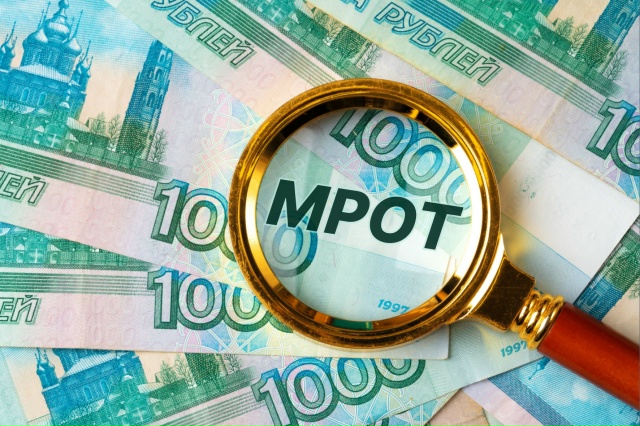 Госдума приняла закон об установлении МРОТ с 2026 года в ...