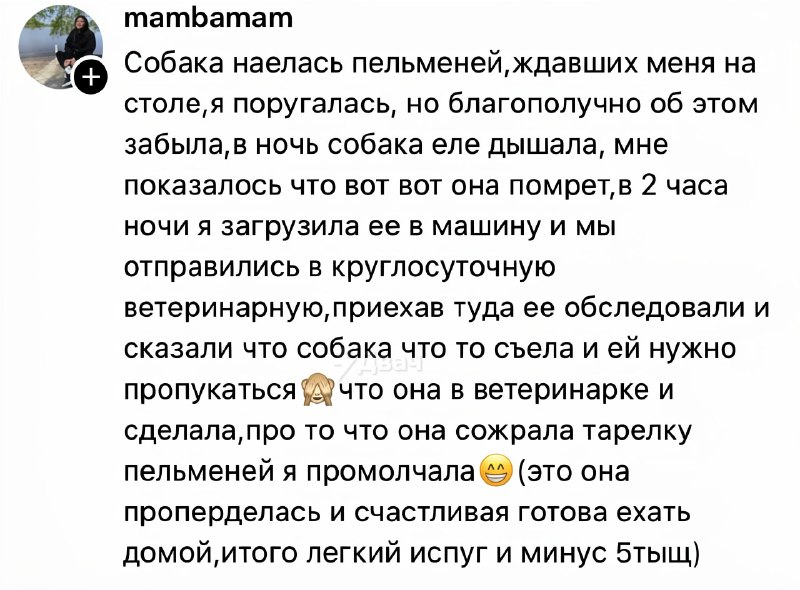 Заорал, обосрался и пустил слюни
Кожаные рассказали о самых бесполезных визитах к ветеринару. Кажда