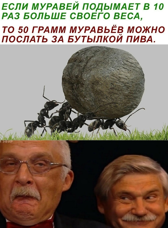 Безумные приколы