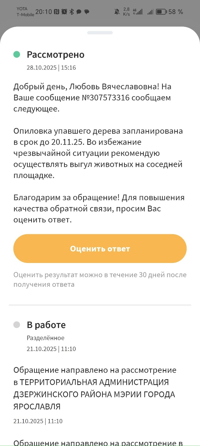 После летнего урагана на нашей площадке для выгула соб...