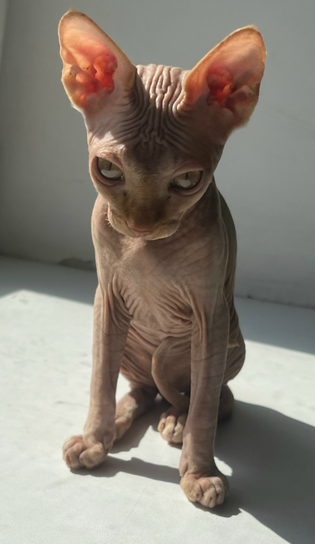 Совсем недавно Владимиру миновало 4 месяца.
Про всрато...