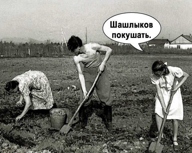 Ишь чего захотела, копай молча😅