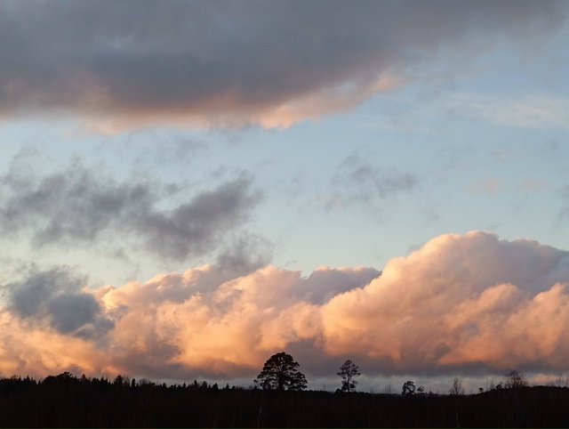 В ноябрьском закате - вся палитра уходящей осени...(25.11.25...