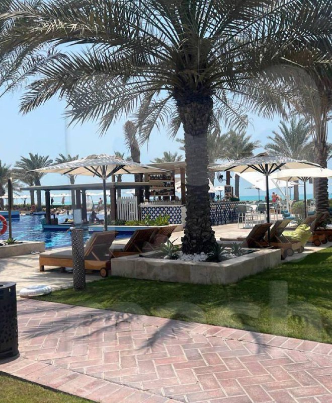 Трамп дал поручение отряду «Дельта Форс» помочь с выселением Долиной из квартиры.