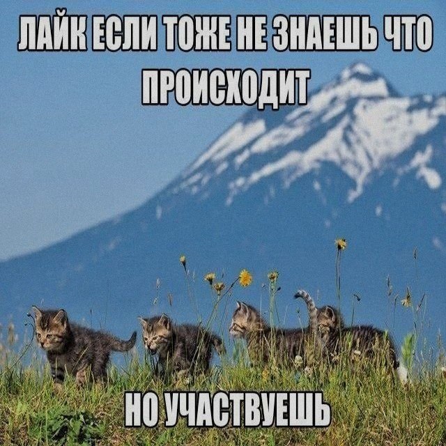 Ночная подборочка
Спать, режим
