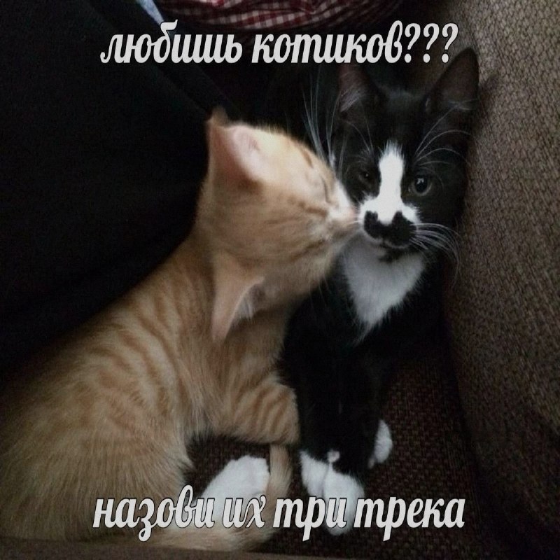 Ночная подборочка
Спать, режим