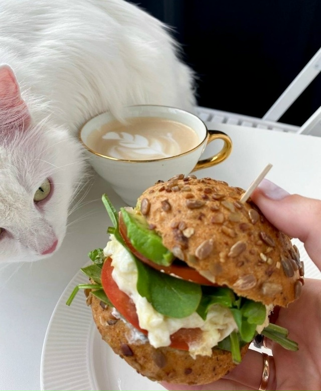 Доброе утро 🍽