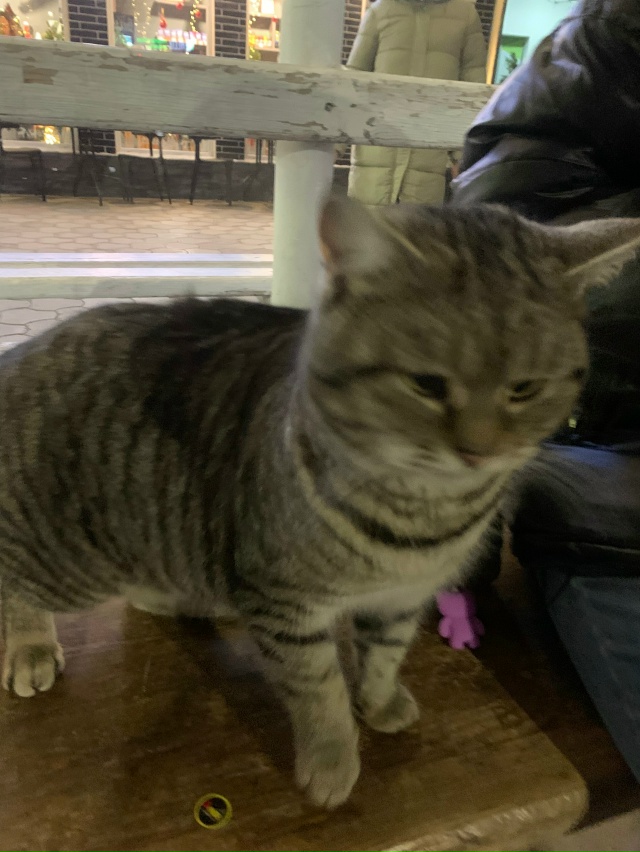 На остановке «Гормолзавод» сидит упитанный такой, шёр?...