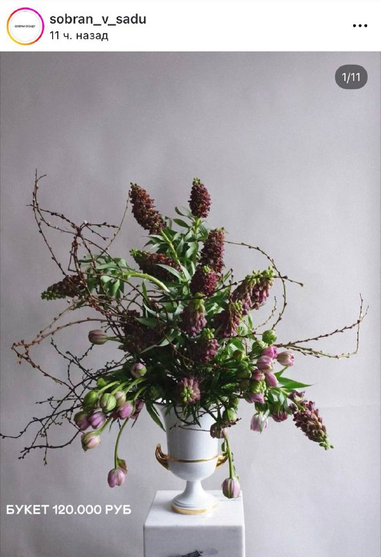 Сколько-сколько: московские флористы представили букеты к 8 марта — цены не для слабонервных.
Несит