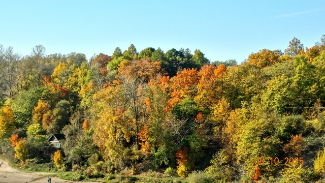 Осень в городе.На фото №3 Энт - пастырь деревьев из Влас...