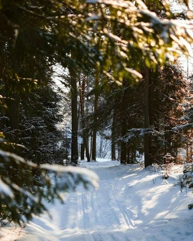 В каждом времени года есть своя прелесть. Главное - уви?...