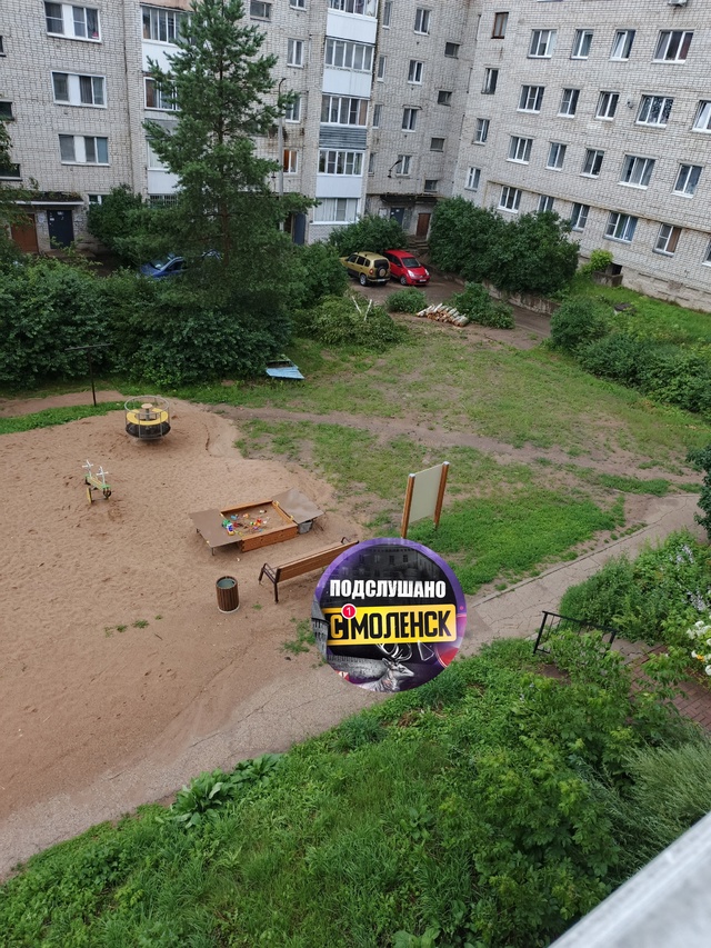 Еще вчера у нас во дворе улицы Твардовского 6-6а росла о?...