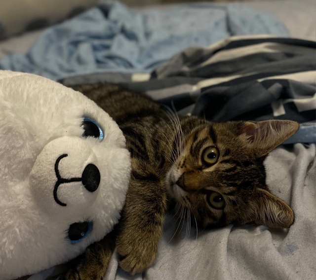 Авось повезет.
Это бомж Рома, найденый на парковке и вр...