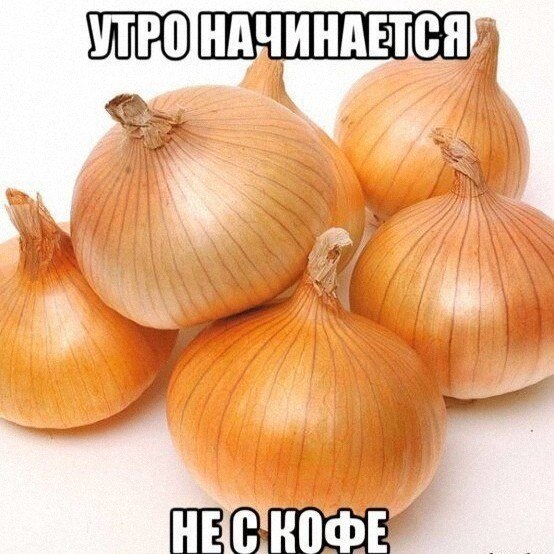 Утренняя подборочка