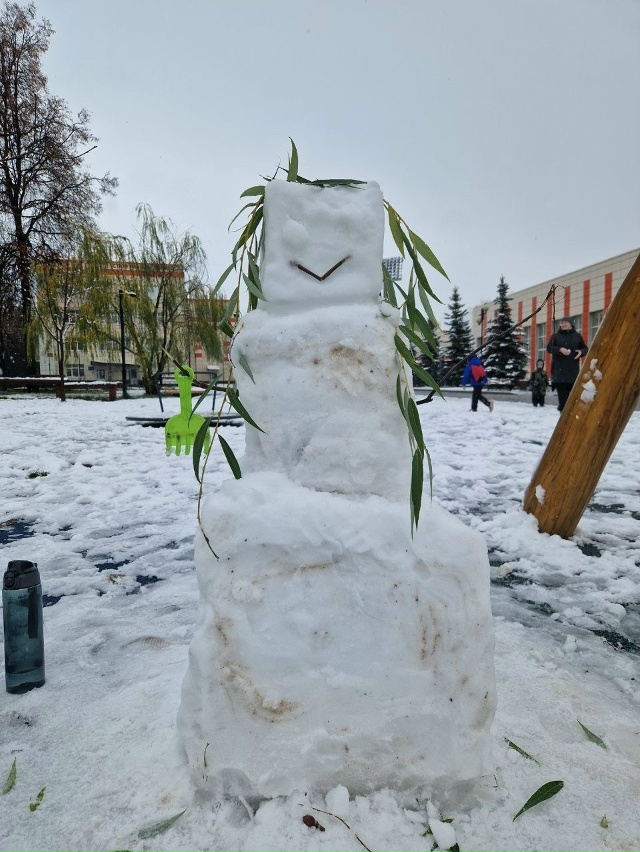 Ловите подборку первых зимних снеговиков
Часть из ни...