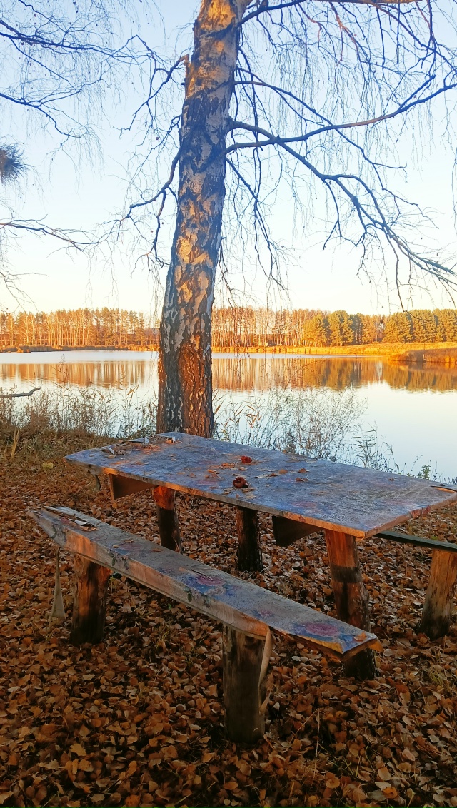 Пруд в Барашево Ульяновской области, кто знает сколько...