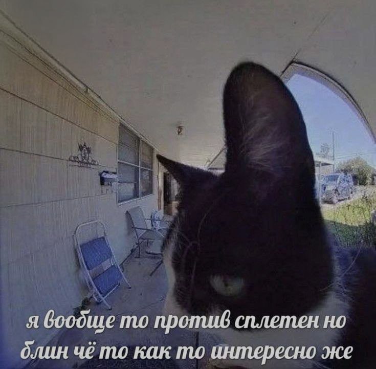 Ночная подборочка
Спать, режим