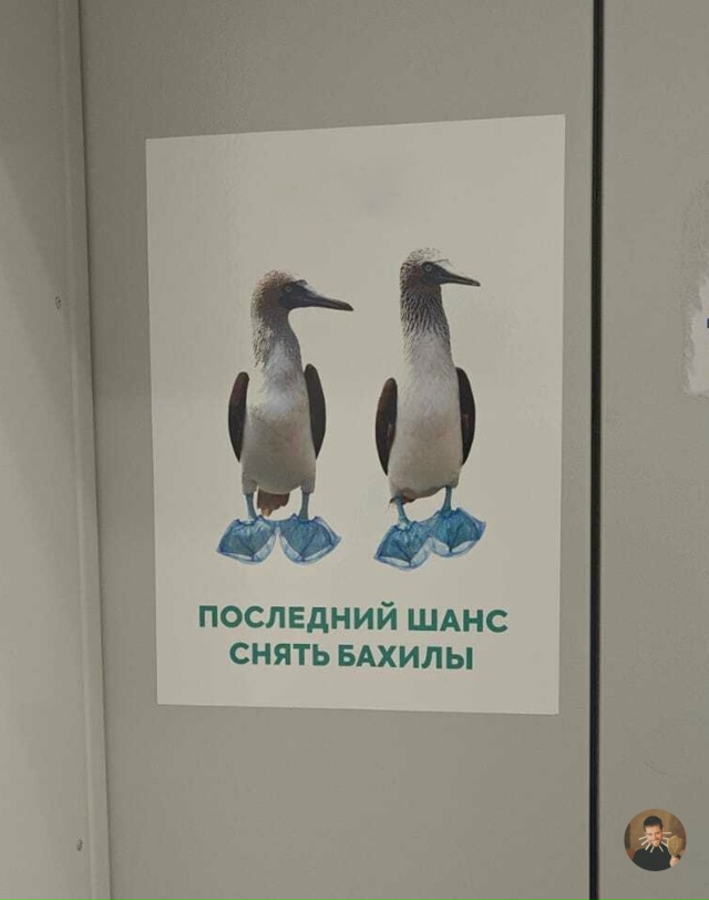 В сети нашли напоминалку, которая обязательно должна в...