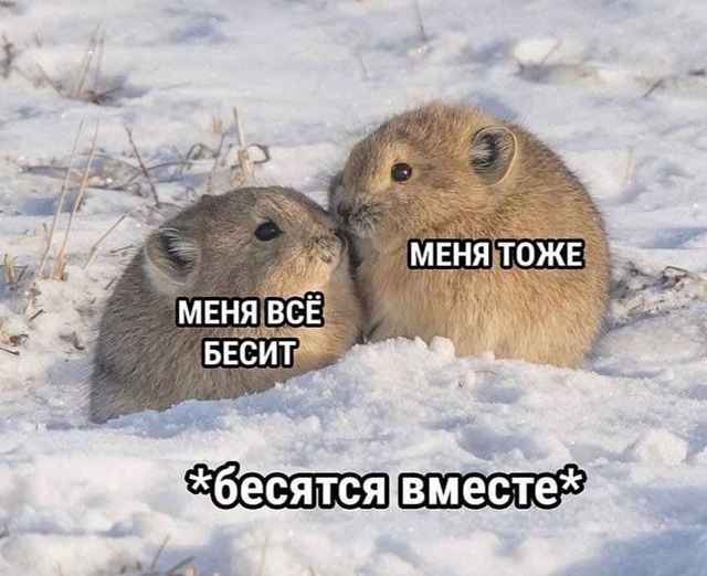🗣️ Хочу познакомиться с девушкой из Воронежа от 25 до 3...