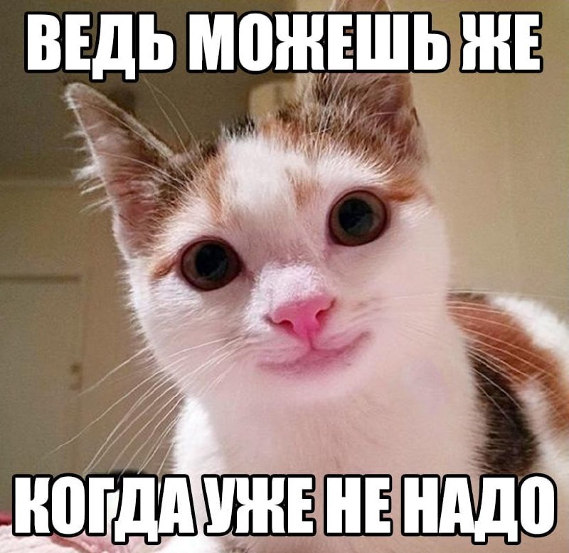 Утренняя подборочка