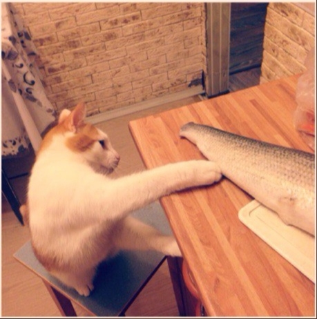 Наглость второе счастье!!!😃