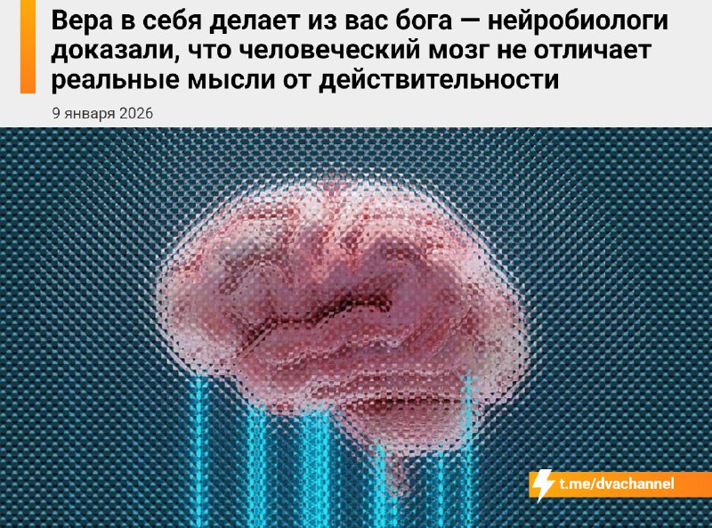 Вера в себя делает из вас бога, доказали нейробиологи
Учёные выяснили, что мозг не видит разницы ме