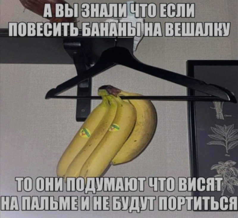 Ночная подборочка
Спать, режим