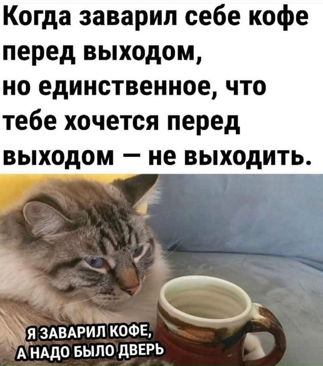 Доброе утро, мы на экваторе рабочей недели