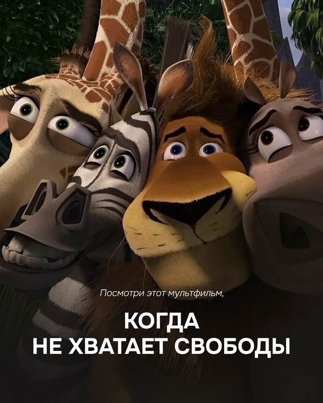 Сохраняйте подборку мультфильмов