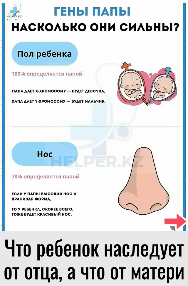 Минутка интересной информации