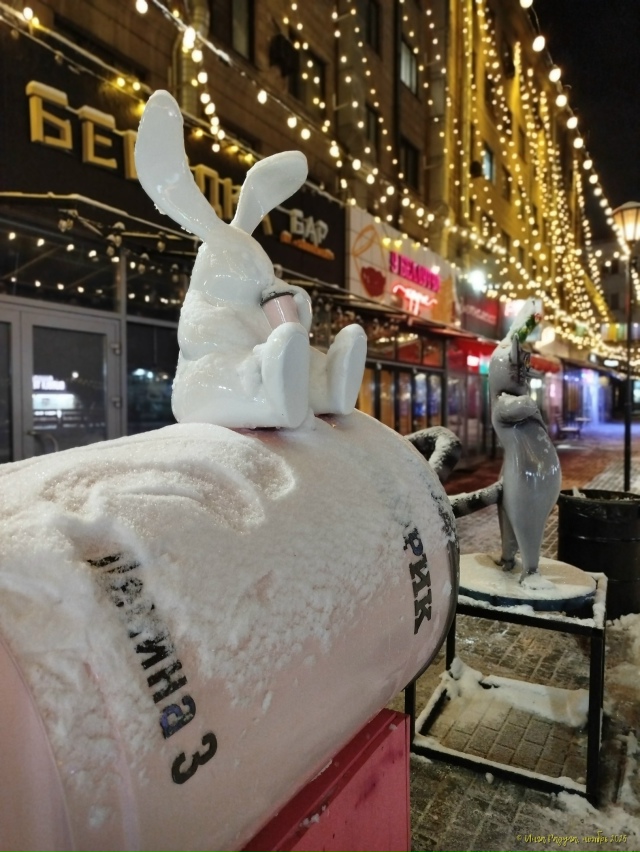 🌠 Дoбpoй нoчи, Ηoвocибиpcк!
Φoтo: Ингa Рaдугa