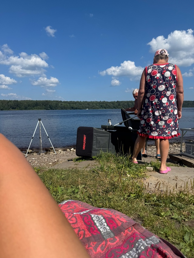 Доброе день! Хочу пожаловаться на беспородных и наглых...