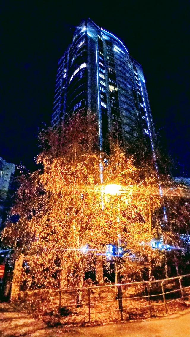 Дoбpый вeчep, Ηoвocибиpcк!
Октябpьcкaя aтмocфepa нa Оpджoникидзe.