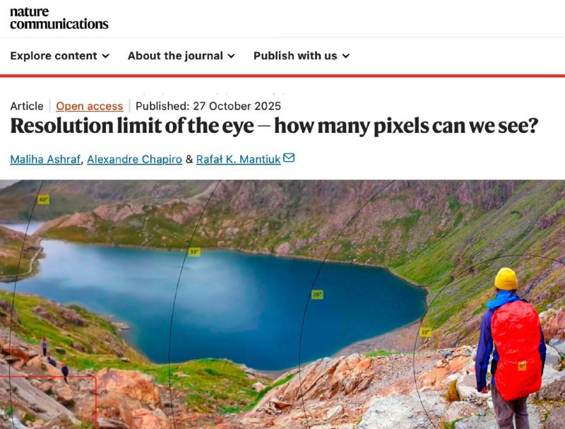 Глаз человека не различает 4К и 8К на бытовых экранах, установили учёные.
Мозг сам «достраивает» н