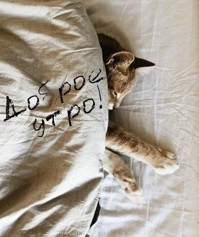 Доброе утро Подслушано!