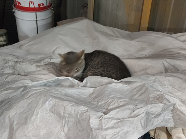 #мявстерская