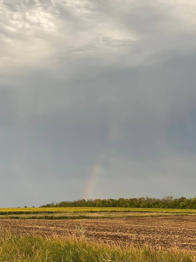 🌈 фото от подписчиков