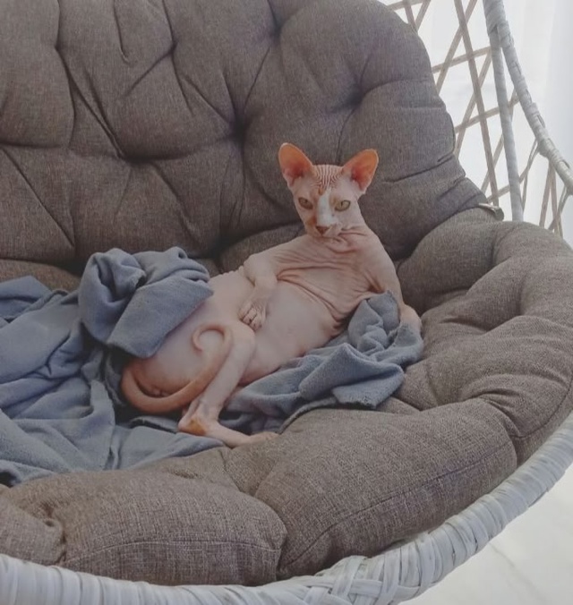 Это мой сын, Оливер
Он немного глупенький, но очень лас...