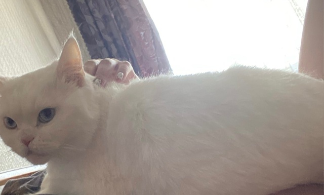 Добрый день,уже месяца 4 назад выкладывал, может кто-то ...